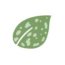 CrossingCasey's Foliage