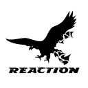 ReactionQ3