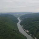 alexis 32