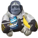 Malding Monkeys