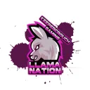 Llama Nation & Kitty Kingdom