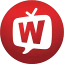 WYouTuberCoin