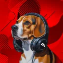 CatRadio