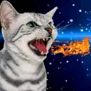 #TEAM MEOW 2.1