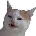 julia's cat emotes