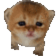 Roidie