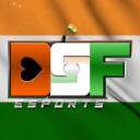 DSF | ESPORTS Discord Server Icon