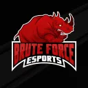 Brute Force Esports