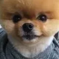 let be friend m8
