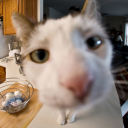 Temme :) Discord server icon