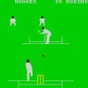Game Developer Cricket Club