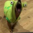 meme hotel