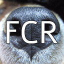 Furry Chat Room