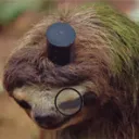 DozPublic