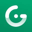 Gridsome icon