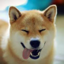 PieseÅ‚owo Server Icon