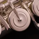 Flute Zone