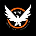 Tom Clancy's The Division Discord Server Icon