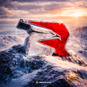 Discovery icon for Rodina Online | Северный округ Discord server