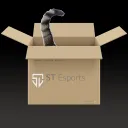Meow´s Cardboard Box