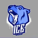ICE E-SPORT