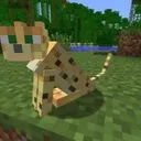 MinecraftBE Community