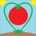 World Tomato Federation