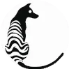 Creative Marsupials