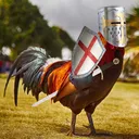 The National League of Chickens