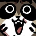 Raccoon Girl