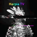 Harpia TV