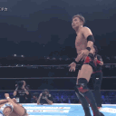 WrestleBlokes