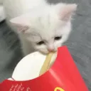 Soft Bitch Hours