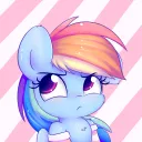 Dashie's Community