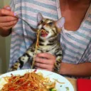 Spaghet