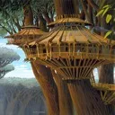 Wookie Village
