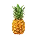 LA PIÑA