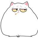 morekittypls