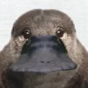 Sacred Pizza Gaming (Sp.)