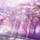 Clear Blossoms Cafe