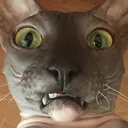 𝐓𝐡𝐞𝐓𝐨𝐫𝐲 𝐓𝐰𝐢𝐭𝐜𝐡