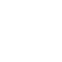 GenesiX Corps