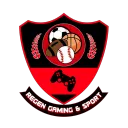 Regen Gaming & Sport