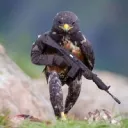 人狼ぐる フィリピンなう