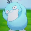 コダ鯖
