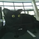 バズルライフ