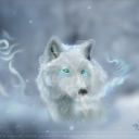 wolves of the world Server Icon