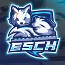 ESC HUFLIT
