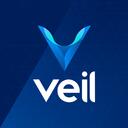 VEIL-Project Discord Server Icon