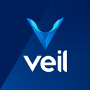 VEIL-Project icon